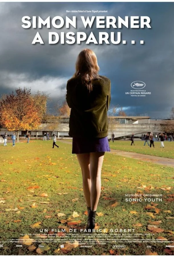 Симон Вернер исчез... (2010) смотреть онлайн