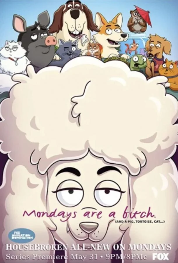 К лотку приучены (1-2 сезон 1-10,11,12 серия) смотреть онлайн