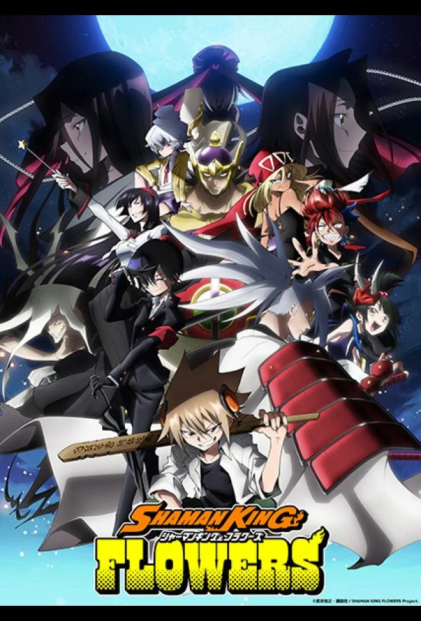 Шаман Кинг: Цветы (1 сезон 1-11,12,13 серия) смотреть онлайн